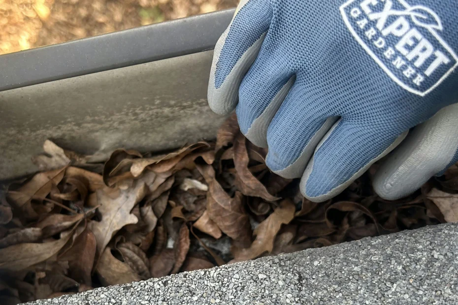 Gutter Cleaning Elmhurst