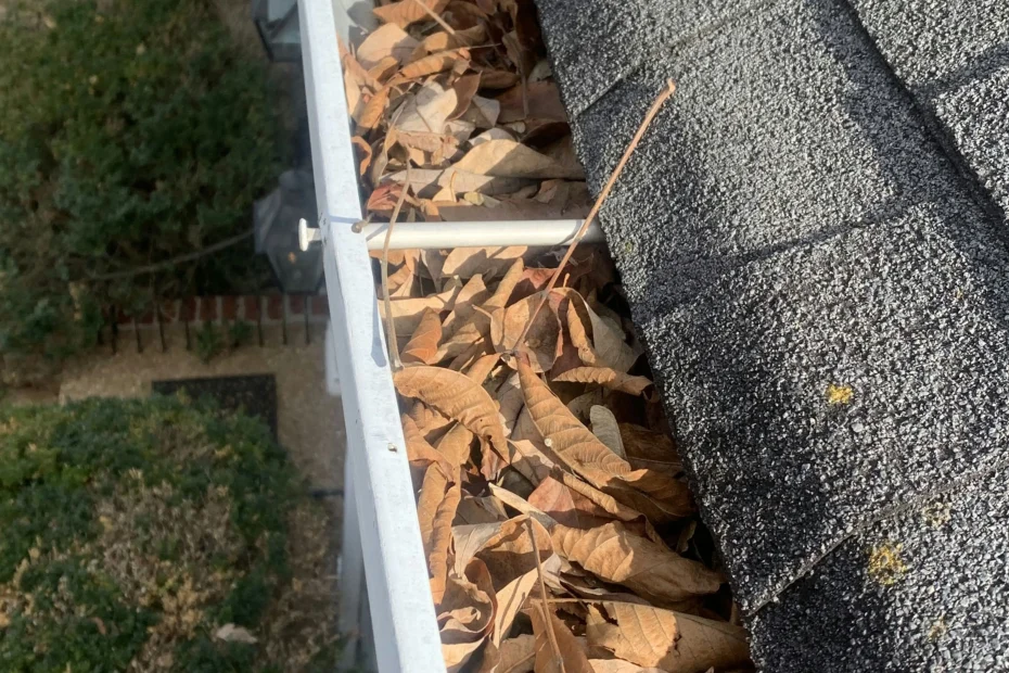 Gutter Cleaning Elmhurst