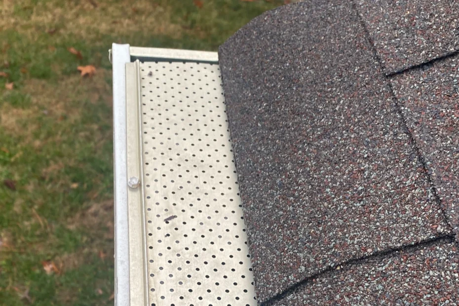 Gutter Cleaning Elmhurst