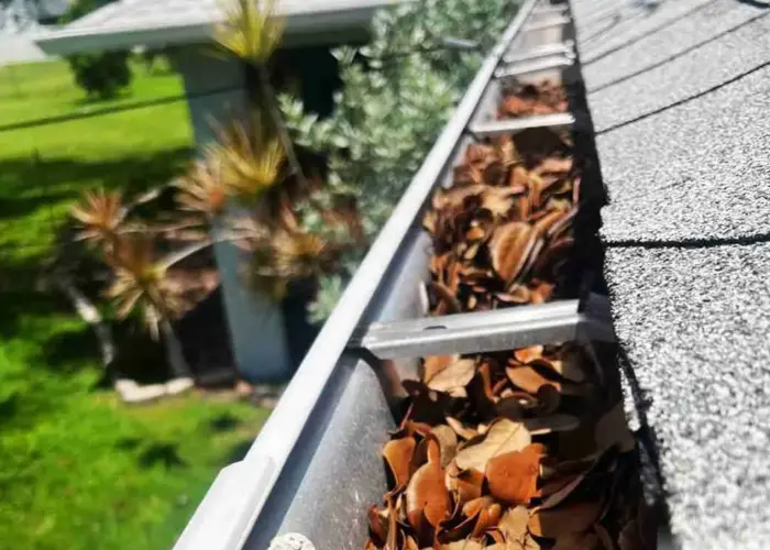 Gutter Cleaning Elmhurst home page